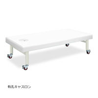 高田ベッド製作所 有孔キャスロン 幅85×長さ170×高さ60cm 白 TB-205U 1個 62-2779-24（直送品）