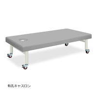 高田ベッド製作所 有孔キャスロン 幅90×長さ180×高さ60cm グレー TB-205U 1個 62-2784-41（直送品）