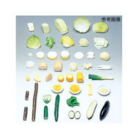 イワイサンプル フードモデル(野菜類・淡色野菜) れんこん135g 8-51 1個 62-8601-28（直送品）