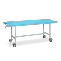 高田ベッド製作所 アルミストレッチャー100 幅65×長さ180×高さ90cm スカイブルー TB-1348 1個 62-5016-13（直送品）