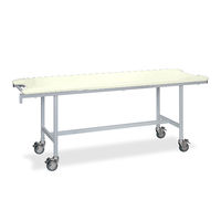 高田ベッド製作所 アルミストレッチャー100 幅60×長さ180×高さ80cm クリーム TB-1348 1個 62-5013-95（直送品）