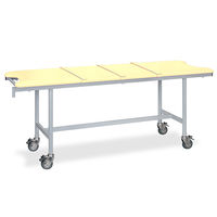 高田ベッド製作所 アルミストレッチャー100(ベルト付き) 幅60×長さ180×高さ70cm クリーム TB-1351 1個（直送品）