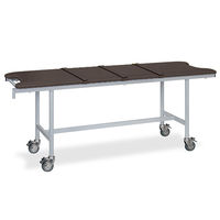 高田ベッド製作所 アルミストレッチャー100(ベルト付き) 幅65×長さ180×高さ70cm 茶 TB-1351 1個 62-5028-95（直送品）