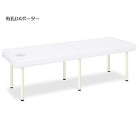 高田ベッド製作所 有孔DXポーター 幅50×長さ180×高さ65cm 白 TB-1352U 1個 62-5046-50（直送品）