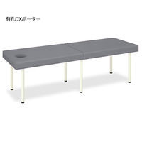 高田ベッド製作所 有孔DXポーター 幅70×長さ180×高さ55cm グレー TB-1352U 1個 62-5056-40（直送品）