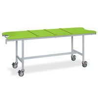 高田ベッド製作所 アルミストレッチャー100(ベルト付き) 幅65×長さ180×高さ90cm 抹茶 TB-1351 1個（直送品）