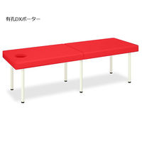 高田ベッド製作所 有孔DXポーター 幅55×長さ180×高さ65cm レッド TB-1352U 1個 62-5049-22（直送品）