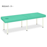 高田ベッド製作所 有孔DXポーター 幅50×長さ180×高さ65cm ライトグリーン TB-1352U 1個 62-5046-54（直送品）