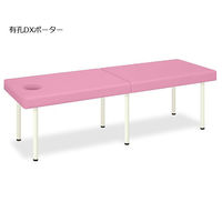 高田ベッド製作所 有孔DXポーター 幅55×長さ180×高さ45cm ピンク TB-1352U 1個 62-5048-38（直送品）