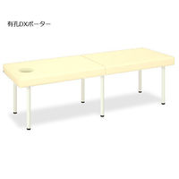 高田ベッド製作所 有孔DXポーター 幅60×長さ180×高さ60cm クリーム TB-1352U 1個 62-5051-53（直送品）