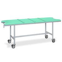 高田ベッド製作所 アルミストレッチャー100(ベルト付き) 幅60×長さ190×高さ80cm ライトグリーン TB-1351 1個（直送品）