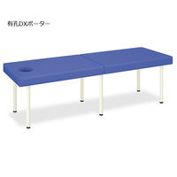 高田ベッド製作所 有孔DXポーター 幅60×長さ180×高さ55cm ライトブルー TB-1352U 1個 62-5051-28（直送品）