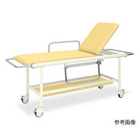 高田ベッド製作所 GSストレッチャー100 幅60×長さ200(座シート180)×高さ75cm レッド TB-624 1台（直送品）
