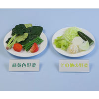 いわさき 野菜350g分例示フードモデル IGF-005 1式 62-1626-77（直送品）