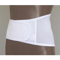 日本衛材 ランベルト A1 S 1個 NE-2162 61-8511-73（直送品）