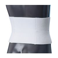 日本衛材 ウエストタイエース L 1個 NE-583 61-8510-43（直送品）