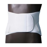 日本衛材 ウエストタイDX L 1個 NE-523 61-8510-47（直送品）