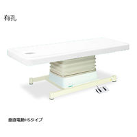 高田ベッド製作所 有孔垂直電動HSタイプ 幅60×長さ190×高さ46~79cm 白 TB-897U 1個 61-5845-98（直送品）