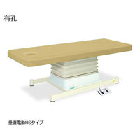 高田ベッド製作所 有孔垂直電動HSタイプ 幅65×長さ170×高さ46~79cm アイボリー TB-897U 1個 61-5846-18（直送品）