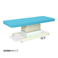 高田ベッド製作所 垂直電動HSタイプ 幅65×長さ170×高さ46~79cm スカイブルー TB-897 1個 61-5844-10（直送品）