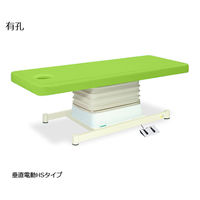高田ベッド製作所 有孔垂直電動HSタイプ 幅60×長さ170×高さ46~79cm 抹茶 TB-897U 1個 61-5845-72（直送品）
