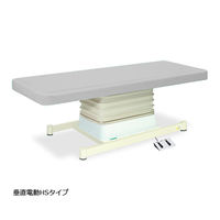 高田ベッド製作所 垂直電動HSタイプ 幅65×長さ170×高さ46~79cm グレー TB-897 1個 61-5844-07（直送品）