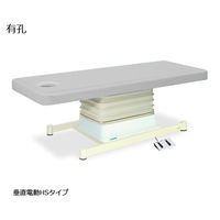 高田ベッド製作所 有孔垂直電動HSタイプ 幅70×長さ190×高さ46~79cm グレー TB-897U 1個 61-5847-16（直送品）