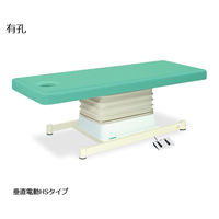高田ベッド製作所 有孔垂直電動HSタイプ 幅65×長さ180×高さ46~79cm ライトグリーン TB-897U 1個 61-5846-39（直送品）