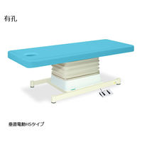 高田ベッド製作所 有孔垂直電動HSタイプ 幅55×長さ180×高さ46~79cm スカイブルー TB-897U 1個 61-5845-37（直送品）