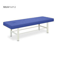 高田ベッド製作所 有孔DXベッドー2 幅60×長さ180×高さ60cm ライトブルー TB-908U-2 1個 63-0195-59（直送品）
