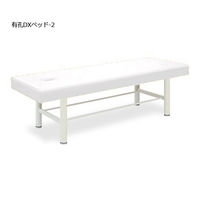 高田ベッド製作所 有孔DXベッドー2 幅60×長さ180×高さ60cm 白 TB-908U-2 1個 63-0195-54（直送品）