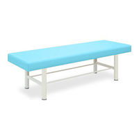 高田ベッド製作所 DXベッドー2 幅65×長さ180×高さ55cm スカイブルー TB-908-2 1個 63-0193-29（直送品）