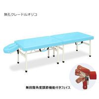 高田ベッド製作所 クレードルオリコ 幅40×長さ180×高さ35cm スカイブルー TB-1038 1個 63-0082-57（直送品）