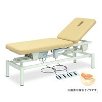 cxbh쏊 I 65×180×50~88cm fBu[ TB-283 1 61-5974-30iij