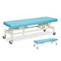 高田ベッド製作所 キャスター付電動ハイローベッド 幅65×長さ180×高さ45~83cm ライトブラウン TB-582 1個（直送品）