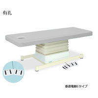 高田ベッド製作所 有孔垂直電動Eタイプ 幅70×長さ190×高さ46~79cm グレー TB-762U 1個 61-5851-52（直送品）