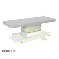高田ベッド製作所 垂直電動Sタイプ 幅55×長さ170×高さ46~79cm グレー TB-491 1個 61-5851-70（直送品）
