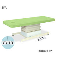 高田ベッド製作所 有孔垂直電動Eタイプ 幅60×長さ170×高さ46~79cm ライムグリーン TB-762U 1個 61-5850-14（直送品）