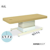 高田ベッド製作所 有孔垂直電動Eタイプ 幅55×長さ180×高さ46~79cm アイボリー TB-762U 1個 61-5849-63（直送品）