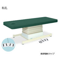 高田ベッド製作所 有孔垂直電動Eタイプ 幅70×長さ190×高さ46~79cm メディグリーン TB-762U 1個 61-5851-58（直送品）