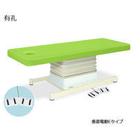 高田ベッド製作所 有孔垂直電動Eタイプ 幅65×長さ170×高さ46~79cm 抹茶 TB-762U 1個 61-5850-63（直送品）