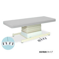 高田ベッド製作所 垂直電動Eタイプ 幅55×長さ190×高さ46~79cm グレー TB-762 1個 61-5847-70（直送品）