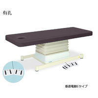 高田ベッド製作所 有孔垂直電動Eタイプ 幅55×長さ180×高さ46~79cm 茶 TB-762U 1個 61-5849-65（直送品）