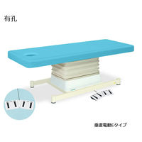 高田ベッド製作所 有孔垂直電動Eタイプ 幅70×長さ170×高さ46~79cm スカイブルー TB-762U 1個 61-5851-19（直送品）