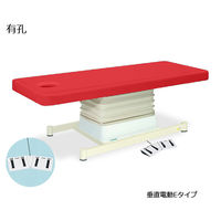高田ベッド製作所 有孔垂直電動Eタイプ 幅60×長さ170×高さ46~79cm レッド TB-762U 1個 61-5850-16（直送品）