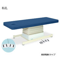 高田ベッド製作所 有孔垂直電動Eタイプ 幅70×長さ170×高さ46~79cm メディブルー TB-762U 1個 61-5851-21（直送品）