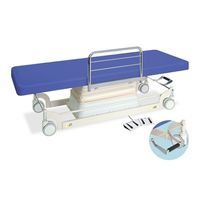 高田ベッド製作所 垂直電動EWタイプ 幅70×長さ180×高さ49~82cm グレー TB-1143 1個 61-5858-61（直送品）