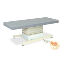 高田ベッド製作所 垂直電動SLタイプ 幅70×長さ170×高さ48~81cm スカイブルー TB-511 1個 61-5861-37（直送品）