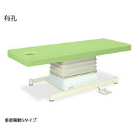 高田ベッド製作所 有孔垂直電動Sタイプ 幅55×長さ190×高さ46~79cm ライムグリーン TB-491U 1個 61-5854-32（直送品）
