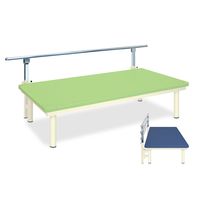 高田ベッド製作所 パラレルホーム 幅100×長さ180×高さ50cm ライトブルー TB-1132 1個 61-5049-25（直送品）